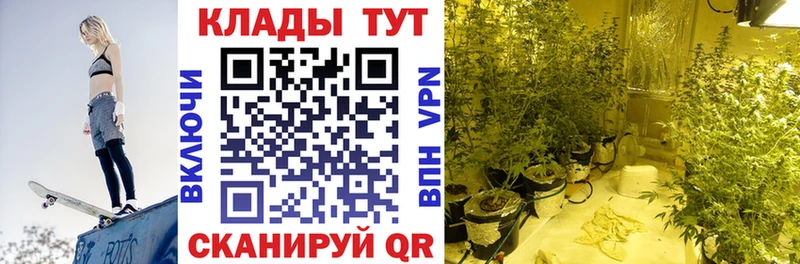 Купить наркоту Эртиль ГАШИШ  Кокаин  blacksprut зеркало  МАРИХУАНА  Мефедрон  А ПВП 