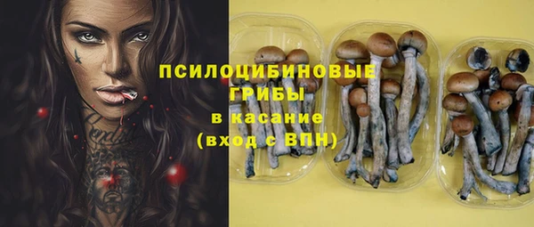 синтетический гашиш Богородск
