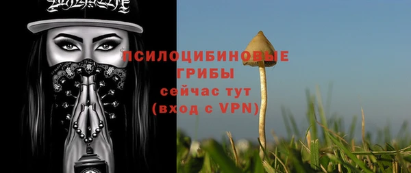 jwh Богородицк