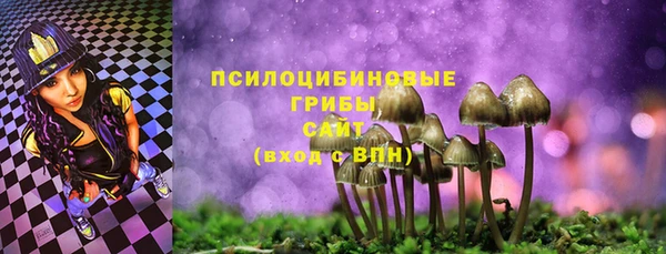 прущая мука Богданович