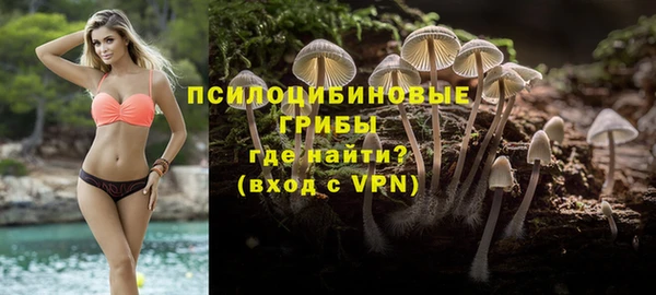 прущая мука Богданович